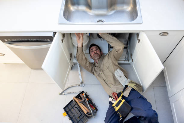 Best Leak Detection Services  in Oak Park, IL